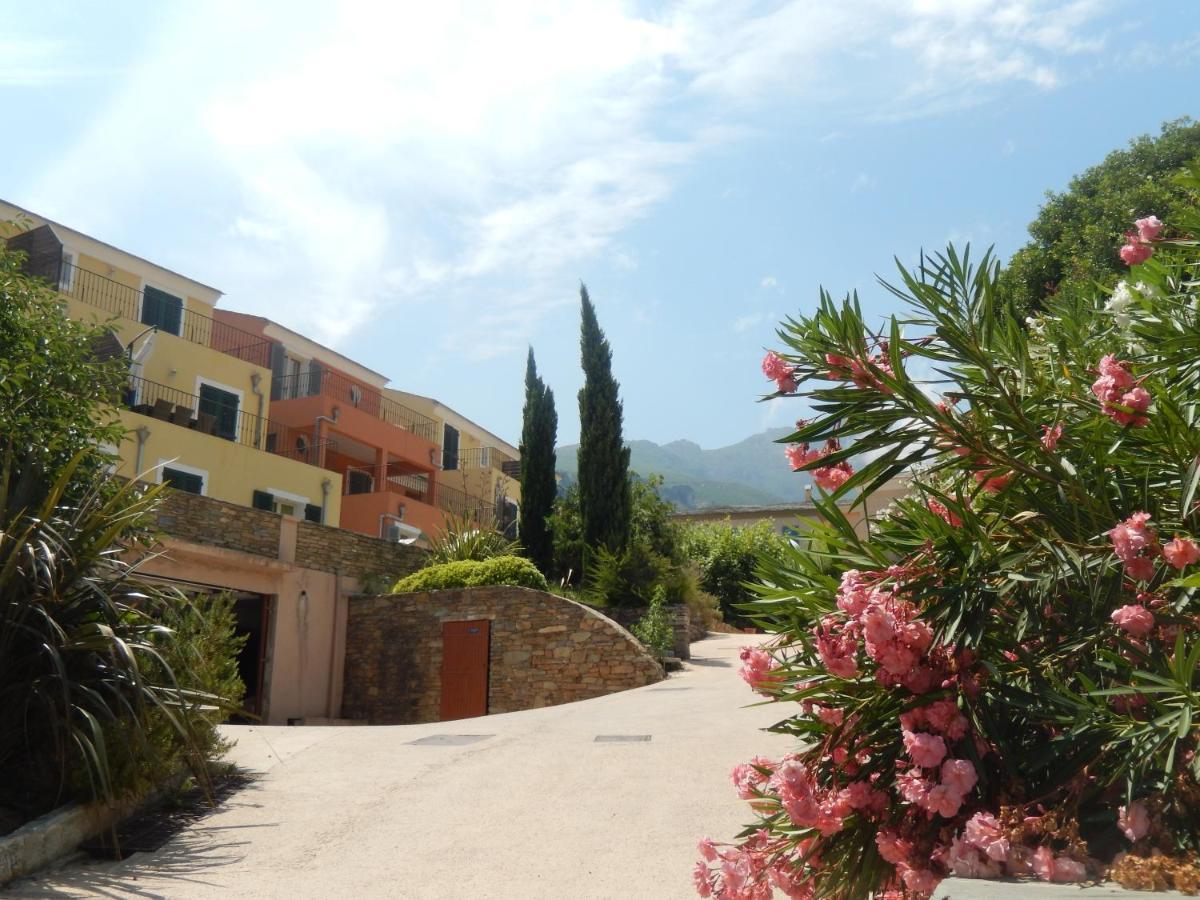 Erbalunga - Residence Les Bosquets - Cap Corse Location Brando Eksteriør bilde